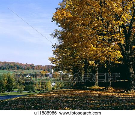Autumn scene View Large Photo Image Stock Photograph - Autumn scene. Fotosearch