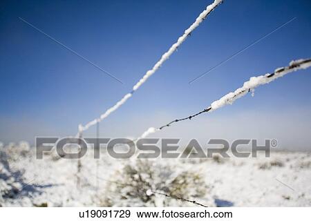 Barbed-wire fence in winter View Large Photo Image Stock Photo - Barbed-wire fence in winter. Fotosearch