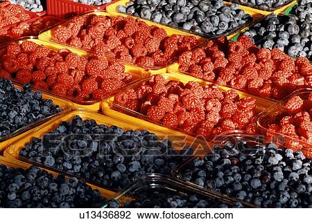 Baskets of blueberries and raspberries View Large Photo Image Stock Image - Baskets of blueberries and raspberries. Fotosearch