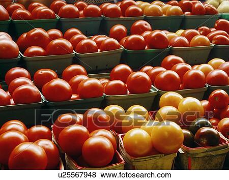 Stock Photo - Baskets of tomatoes. Fotosearch