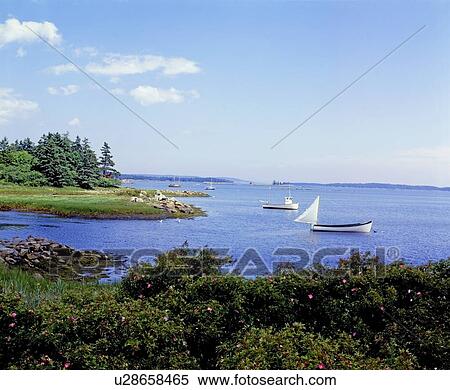 Boats in water, LaHave, Nova Scotia View Large Photo Image Stock Photography - Boats in water, LaHave, Nova Scotia. Fotosearch