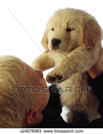 Stock Image - Boy holding puppy up. Fotosearch
