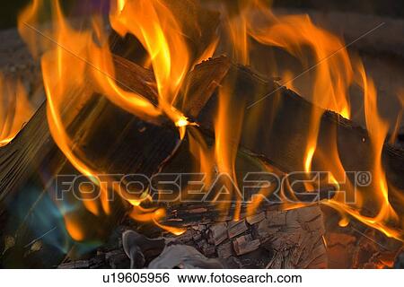 Campfire View Large Photo Image Stock Photograph - Campfire. Fotosearch