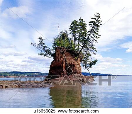 Cape d'Or, Bay of Fundy, Nova Scotia View Large Photo Image Stock Photography - Cape d'Or, Bay of Fundy, Nova Scotia. Fotosearch