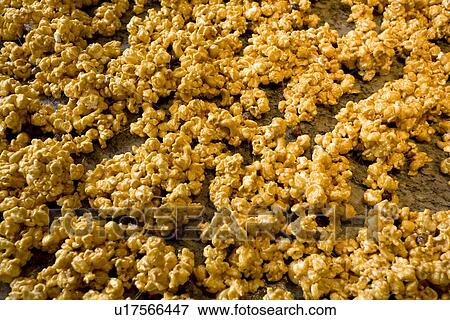 Stock Photo - Carmel popcorn. Fotosearch