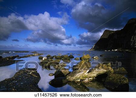 Cliffs, Co Antrim, Ireland View Large Photo Image Stock Photograph - Cliffs, Co Antrim, Ireland. Fotosearch