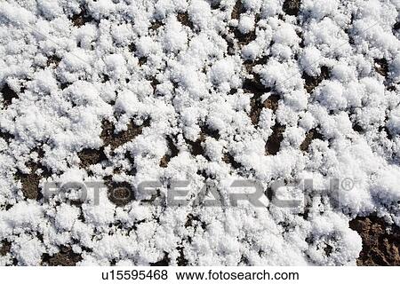 Stock Photo - Close up of snow crystals. Fotosearch