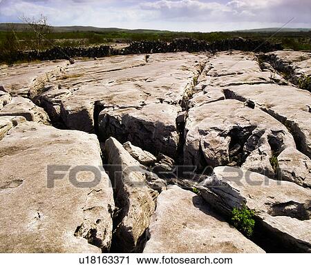 Stock Image - Co Clare. The Burren, Mullaghmore, Shows clints and grikes, Ireland. Fotosearch