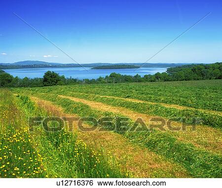 Co Fermanagh, Lower Lough Erne, Boa Island, Ireland View Large Photo Image Stock Photograph - Co Fermanagh, Lower Lough Erne, Boa Island, Ireland. Fotosearch