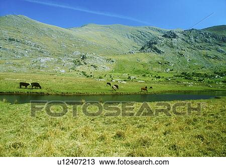 Co Kerry, Blackvalley, Ireland View Large Photo Image Stock Image - Co Kerry, Blackvalley, Ireland. Fotosearch