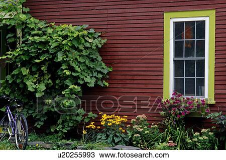 Stock Image - Exterior of red house and garden. Fotosearch