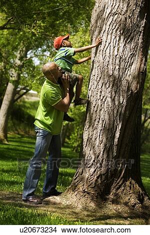 Picture - Father helping son to climb on tree. Fotosearch