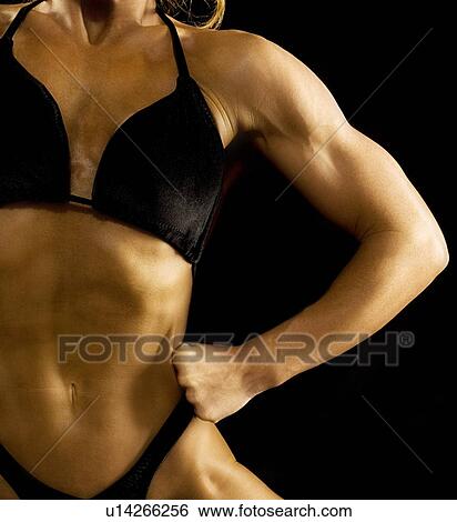 Female bodybuilder View Large Photo Image Stock Photograph - Female bodybuilder. Fotosearch
