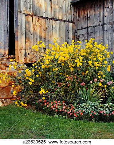 Flower garden View Large Photo Image Stock Photography - Flower garden. Fotosearch
