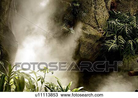 Foggy patch along rocks View Large Photo Image Stock Image - Foggy patch along rocks. Fotosearch