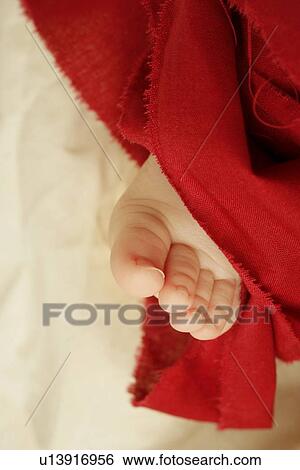 Foot of a baby View Large Photo Image Stock Photograph - Foot of a baby. Fotosearch