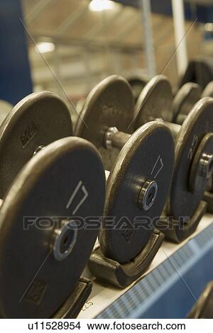 Picture - Free weights. Fotosearch