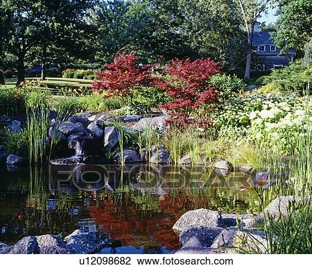 Garden beside water View Large Photo Image Stock Image - Garden beside water. Fotosearch