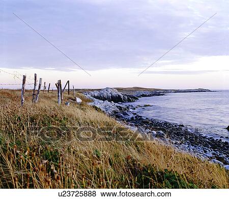 Grassy shoreline, Lockeport, Nova Scotia View Large Photo Image Stock Photo - Grassy shoreline, Lockeport, Nova Scotia. Fotosearch
