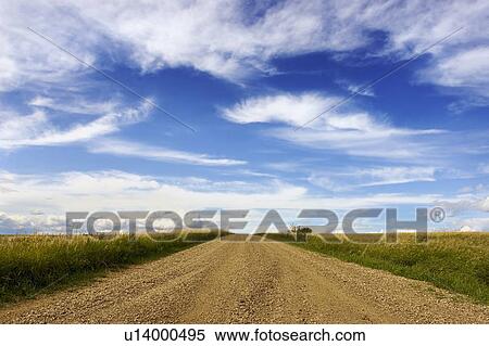 Gravel road with fields and white clouds View Large Photo Image Stock Photography - Gravel road with fields and white clouds. Fotosearch
