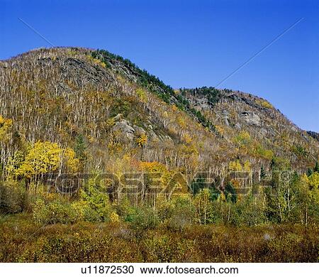 Hills covered with fall colored trees and bushes View Large Photo Image Stock Image - Hills covered with fall colored trees and bushes. Fotosearch