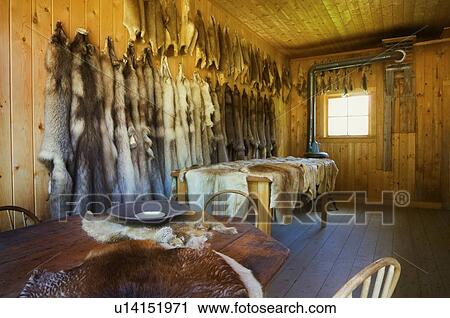 Stock Image - Historic fur trader hut . Fotosearch