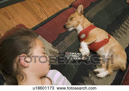 Little girl and dog sleeping together View Large Photo Image Stock Image - Little girl and dog sleeping together. Fotosearch