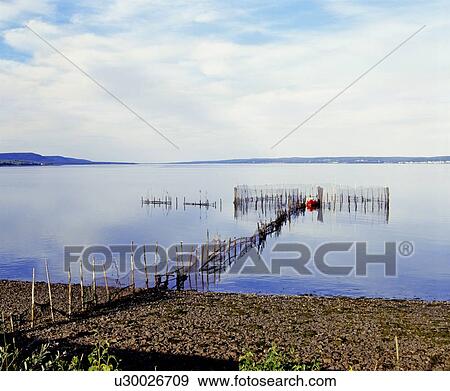 Stock Photo - Lobster trap. Fotosearch