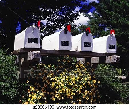 Mailboxes in a row View Large Photo Image Stock Image - Mailboxes in a row. Fotosearch