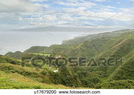 Maui's lush vegetation in Northern coast of Hawaii, USA View Large Photo Image Stock Image - Maui's lush vegetation in Northern coast of Hawaii, USA . Fotosearch