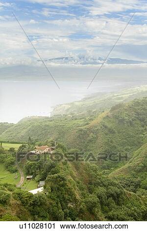 Maui's lush vegetation in the Northern coast of Hawaii, USA View Large Photo Image Stock Image - Maui's lush vegetation in the Northern coast of Hawaii, USA . Fotosearch