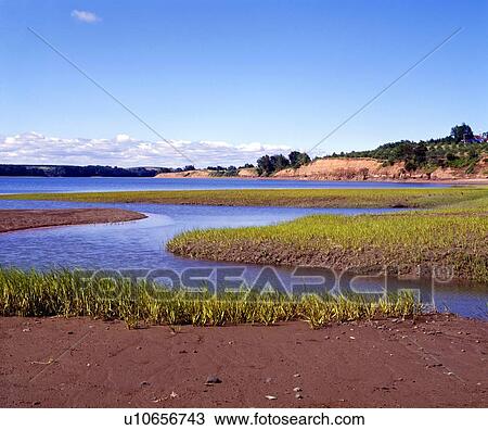 Minas Basin, Nova Scotia View Large Photo Image Stock Image - Minas Basin, Nova Scotia. Fotosearch