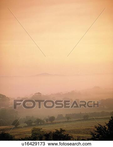 Stock Image - Misty Pastoral Scene, Co Wexford, Ireland. Fotosearch