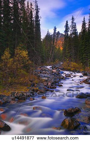 Moraine Creek, Banff National Park, Alberta, Canada View Large Photo Image Stock Photo - Moraine Creek, Banff National Park, Alberta, Canada. Fotosearch