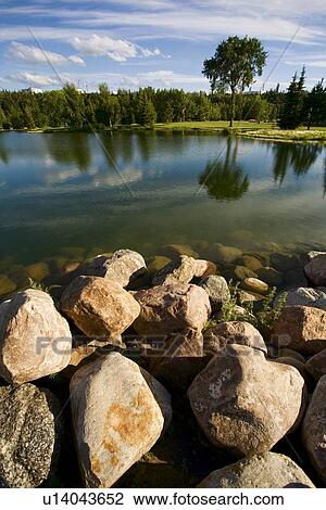 Stock Image - Park setting around a lake. Fotosearch