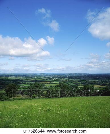 Pastoral Farmscape, Borris, Co Carlow, Ireland View Large Photo Image Picture - Pastoral Farmscape, Borris, Co Carlow, Ireland. Fotosearch