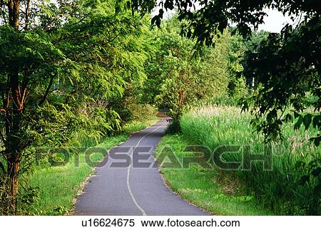 Stock Photography - Pathway in a park. Fotosearch