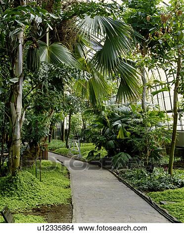 Pathway with trees and plants View Large Photo Image Picture - Pathway with trees and plants. Fotosearch