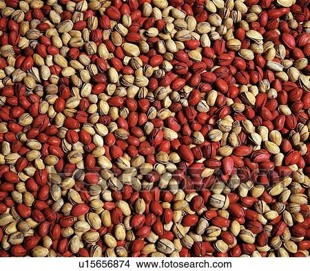 Picture - Pistachio nuts. Fotosearch