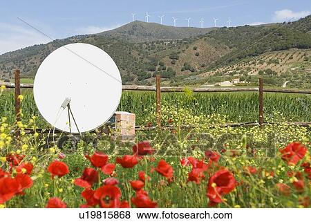 Stock Photo - Poppy and Wild Flower Garden with Satellite dish in west of Álora, Malaga, Spain . Fotosearch