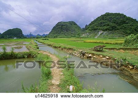 Stock Photo - Rice fields and irrigation ditch in Yangshuo, Guanxi, China . Fotosearch