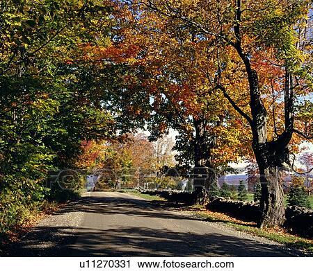 Road in autumn View Large Photo Image Stock Image - Road in autumn. Fotosearch