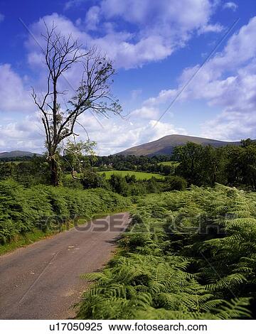 Stock Photography - Rural Roads, Co Wicklow, Glen of Imail, Ireland. Fotosearch