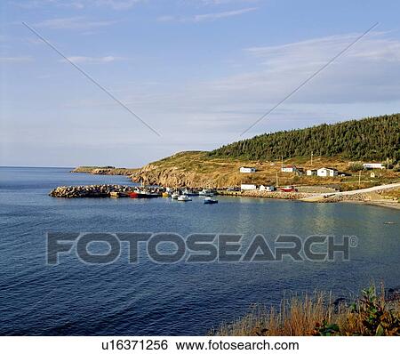 Scenic shoreline in Nova Scotia View Large Photo Image Stock Photograph - Scenic shoreline in Nova Scotia. Fotosearch