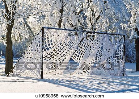 Soccer net in winter View Large Photo Image Stock Photo - Soccer net in winter. Fotosearch