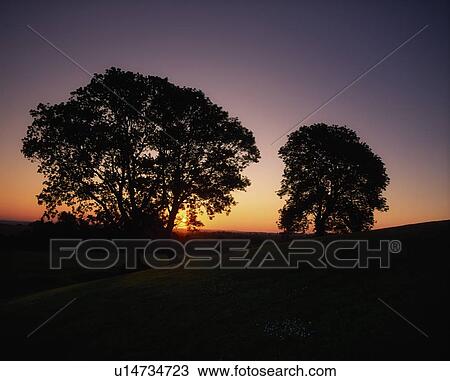 Sunset at Navan Fort, Co Armagh, Ireland View Large Photo Image Stock Image - Sunset at Navan Fort, Co Armagh, Ireland. Fotosearch