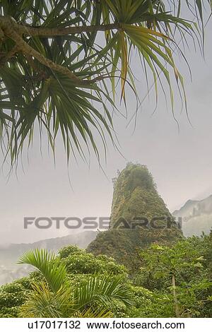 View of Iao Needle through palm trees, Maui, Hawaii, USA View Large Photo Image Stock Image - View of Iao Needle through palm trees, Maui, Hawaii, USA . Fotosearch