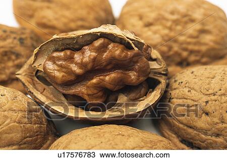 Walnut View Large Photo Image Stock Image - Walnut. Fotosearch