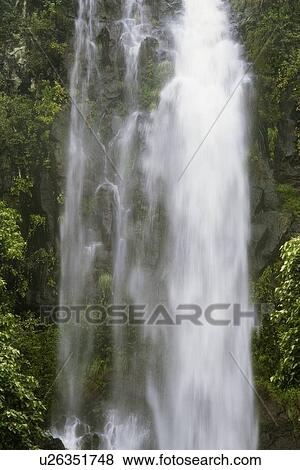 Waterfall in the forest View Large Photo Image Stock Photo - Waterfall in the forest. Fotosearch