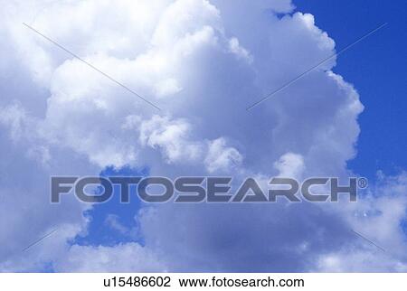 White clouds in a blue sky View Large Photo Image Stock Image - White clouds in a blue sky. Fotosearch